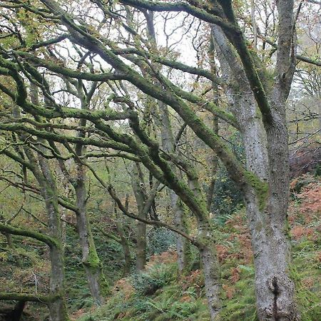 Relaxing Pet Friendly 2-Bed Cottage In Rhandirmwyn Llandovery Extérieur photo