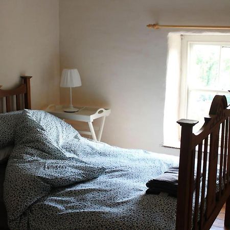 Relaxing Pet Friendly 2-Bed Cottage In Rhandirmwyn Llandovery Extérieur photo