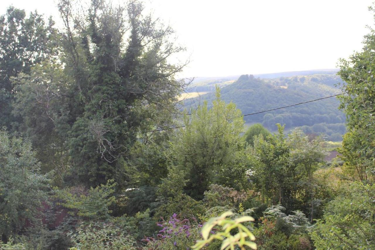 Relaxing Pet Friendly 2-Bed Cottage In Rhandirmwyn Llandovery Extérieur photo