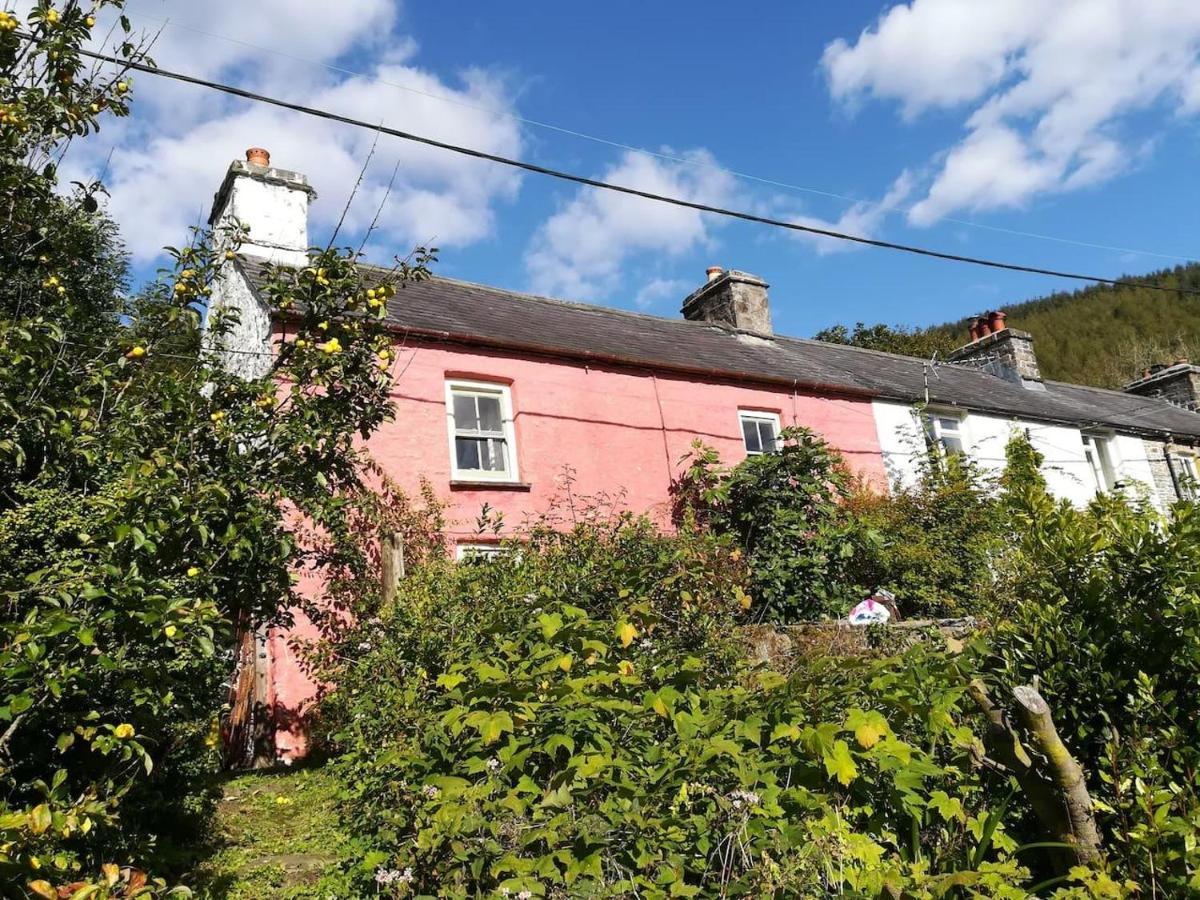 Relaxing Pet Friendly 2-Bed Cottage In Rhandirmwyn Llandovery Extérieur photo