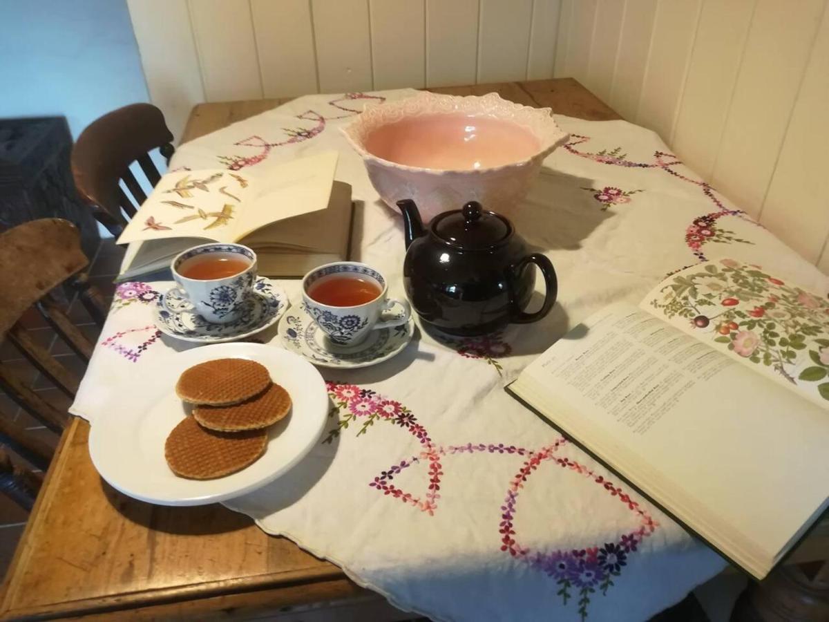 Relaxing Pet Friendly 2-Bed Cottage In Rhandirmwyn Llandovery Extérieur photo