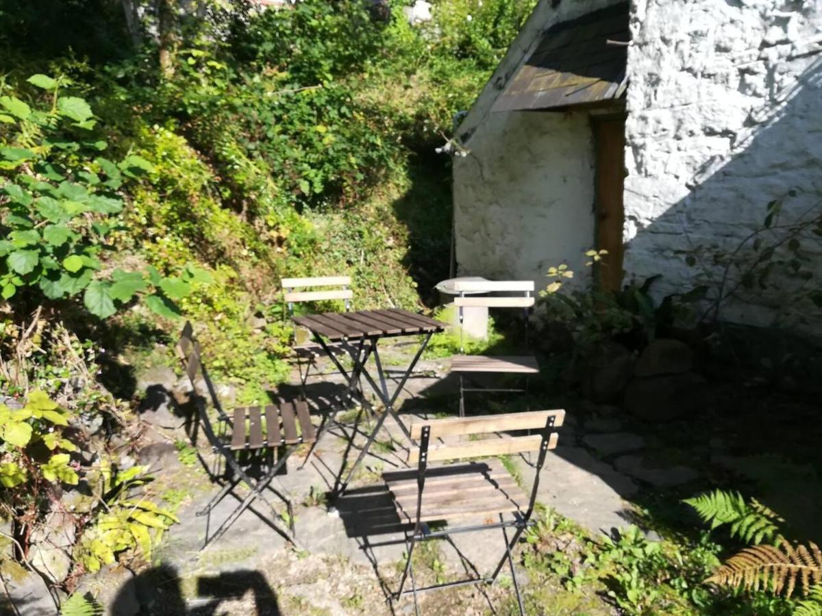 Relaxing Pet Friendly 2-Bed Cottage In Rhandirmwyn Llandovery Extérieur photo