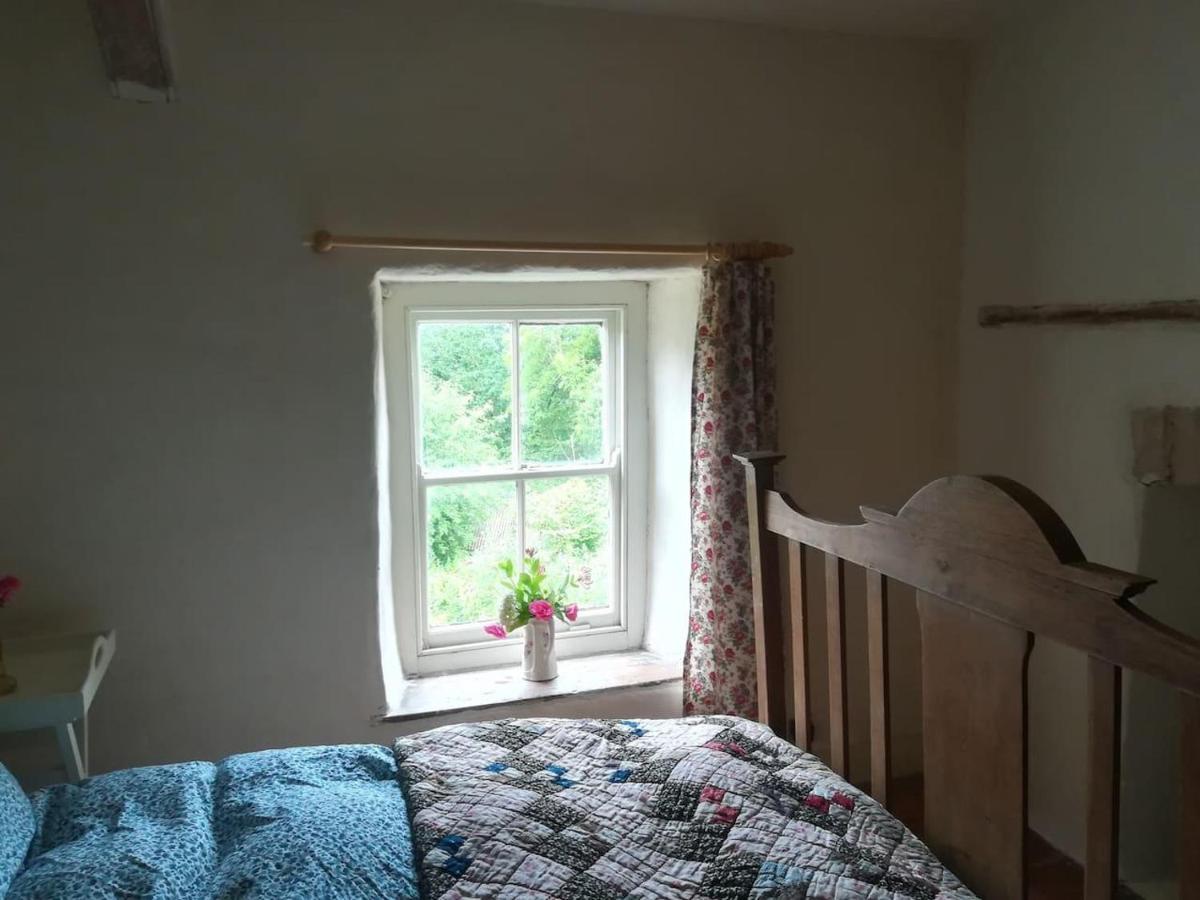 Relaxing Pet Friendly 2-Bed Cottage In Rhandirmwyn Llandovery Extérieur photo
