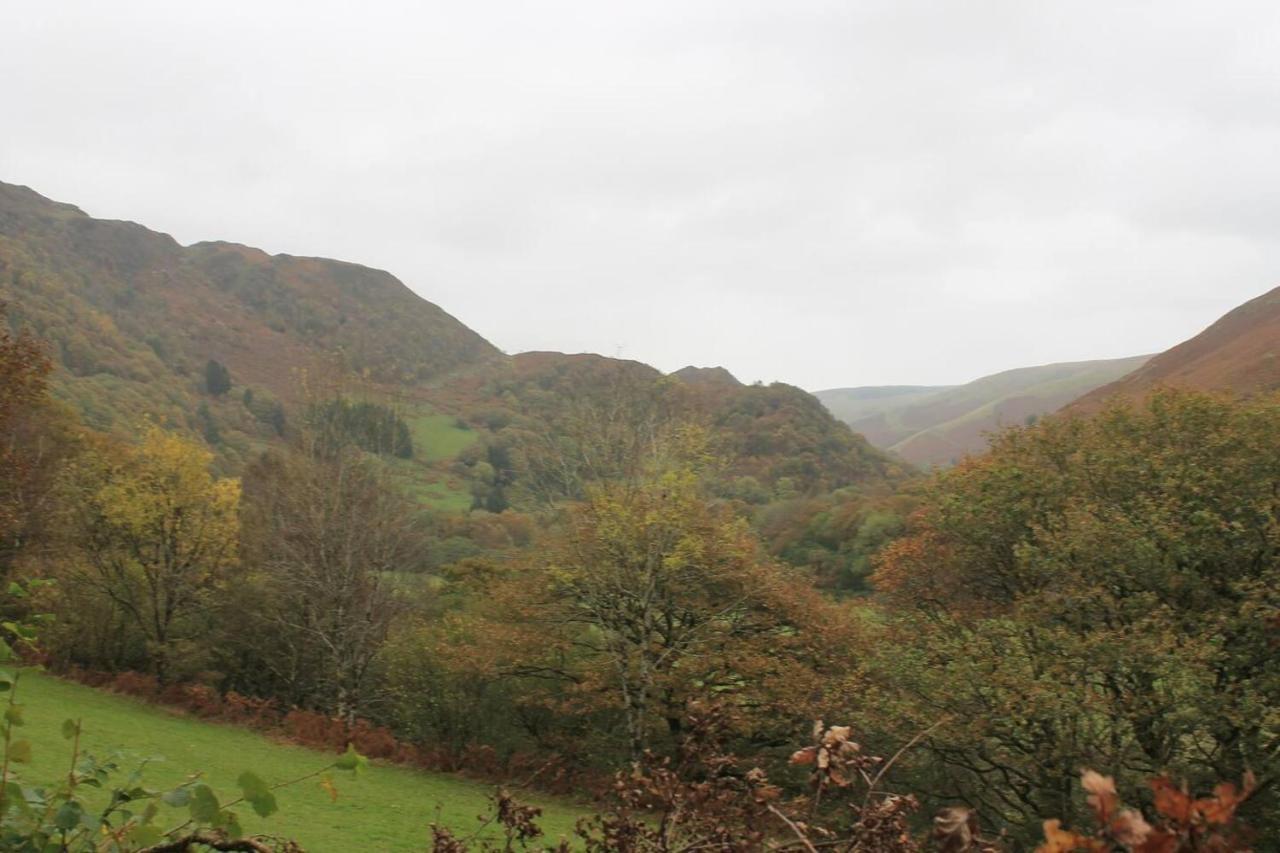 Relaxing Pet Friendly 2-Bed Cottage In Rhandirmwyn Llandovery Extérieur photo
